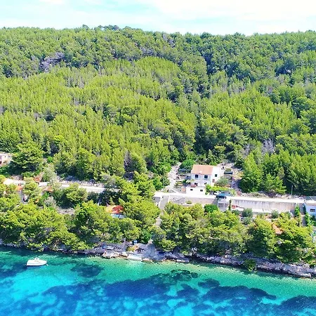 Panoramic *